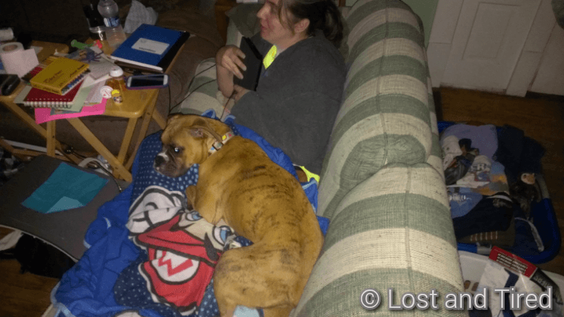 Dogpile