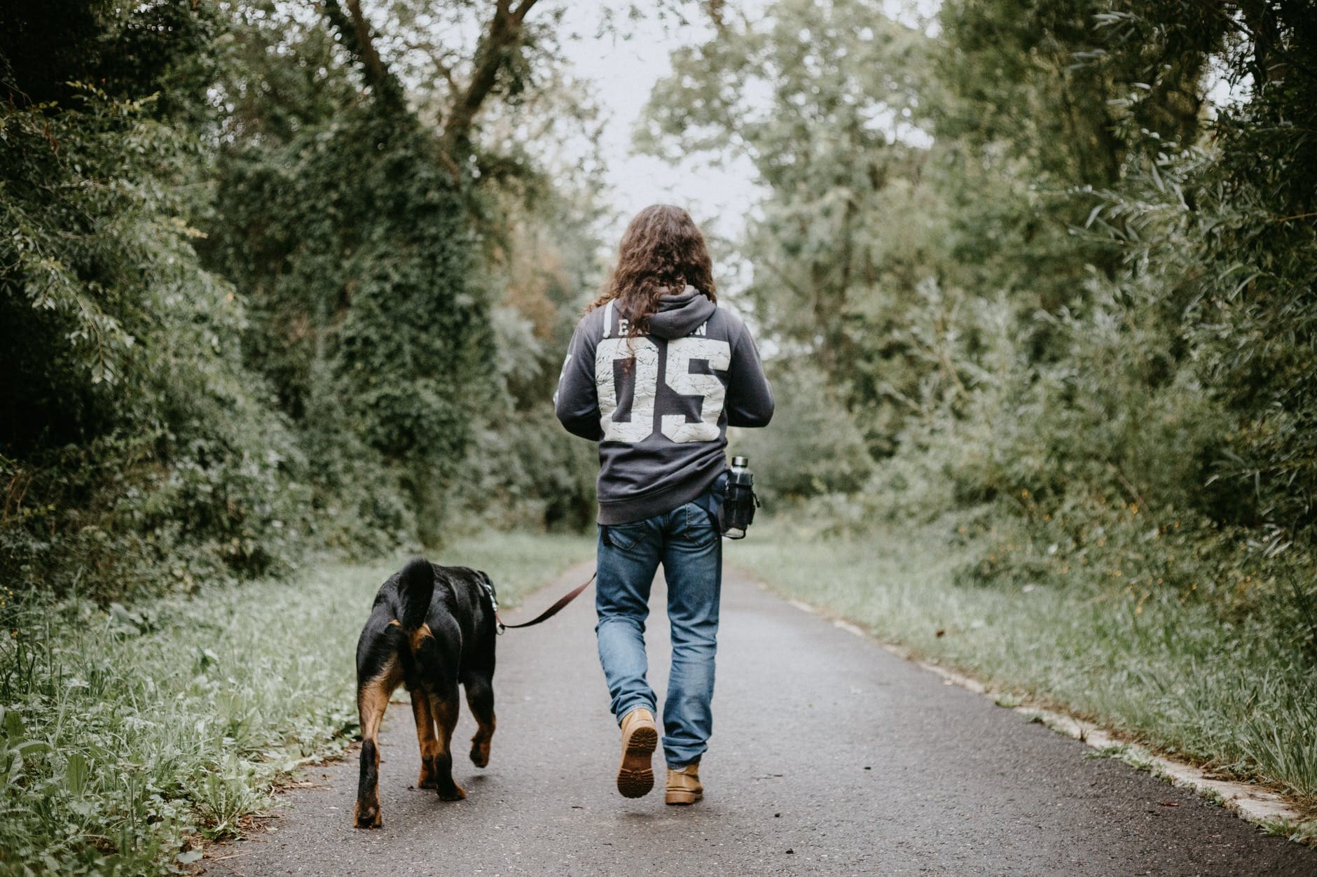 4 Things to Consider Before Getting a Pet
