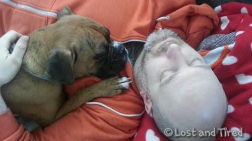 Animals and #Autism