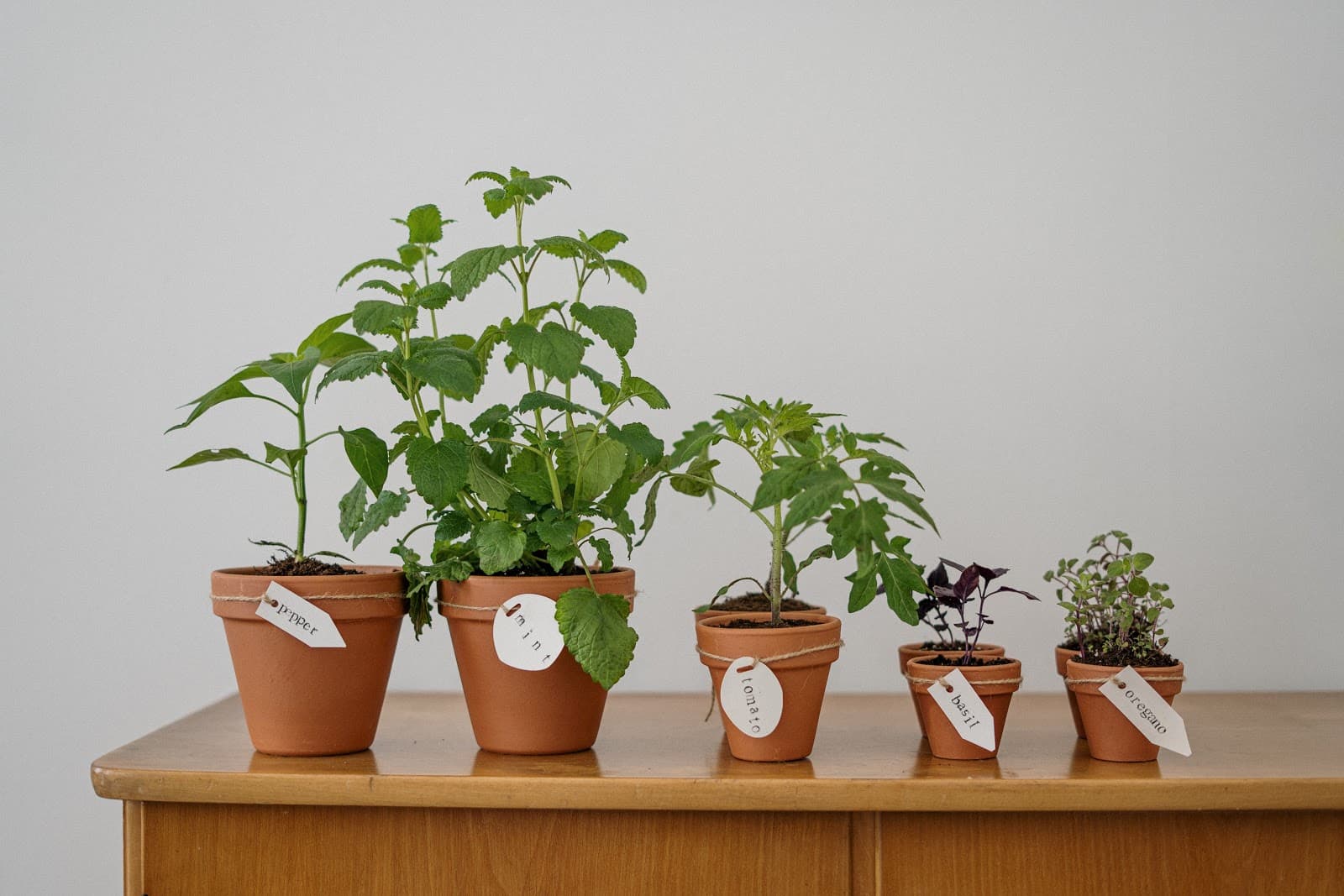 Creating An Eco-Friendly Home For Your Family