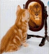 Do you care what other people think?