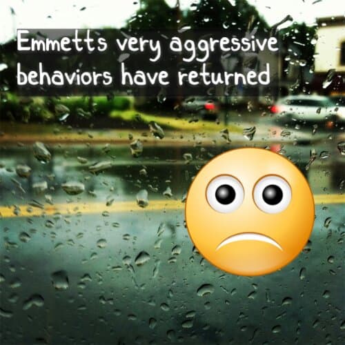 Emmett's very aggressive behaviors have returned