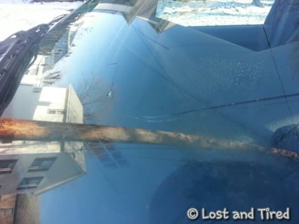 Hello broken windshield......again