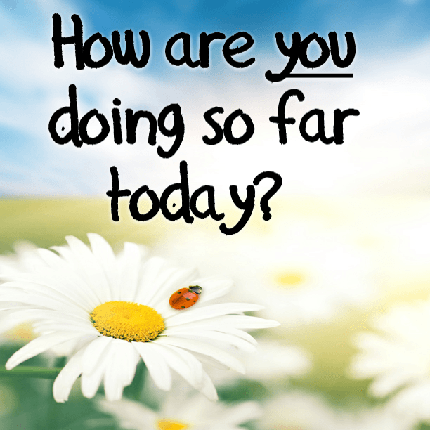 How are you doing so far today?