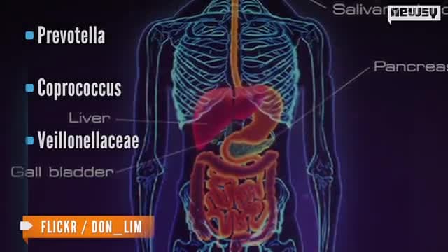 How Childhood Autism, Digestive System Could Be Linked