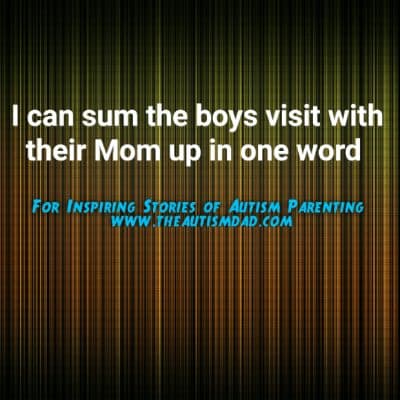 I can sum the boys visit with their Mom up in one word