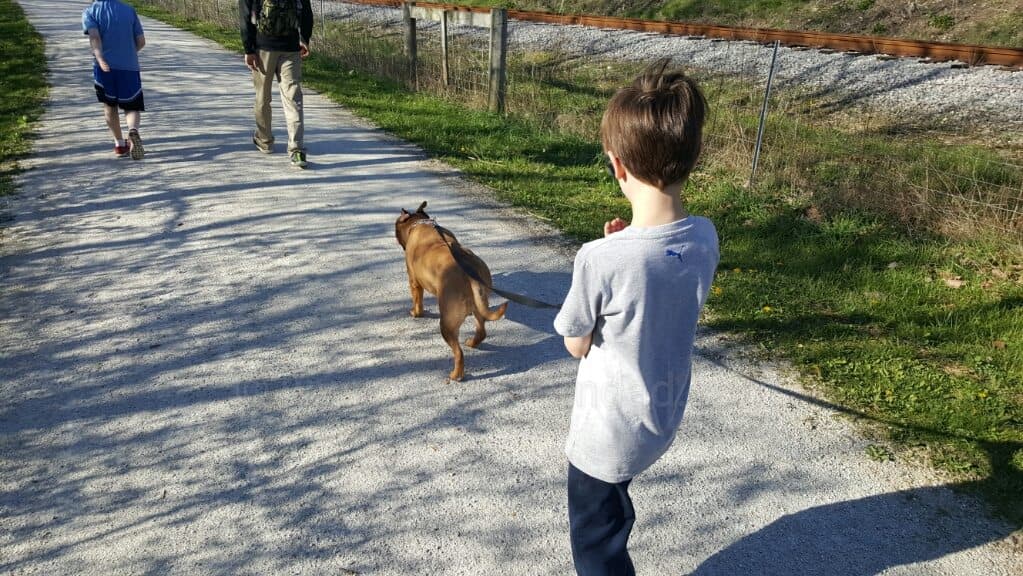 I feel so horrible because Emmett got hurt on our walk yesterday