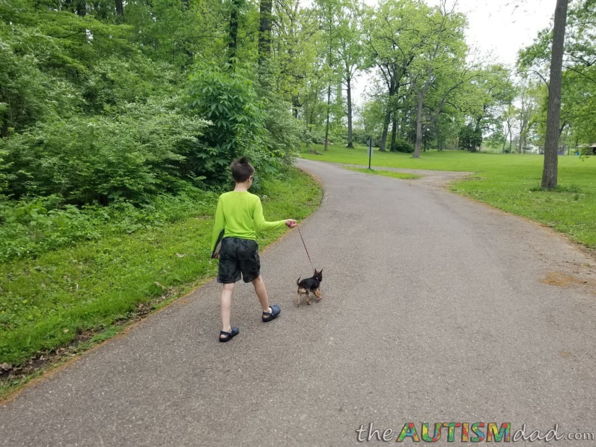 I took the boys and the dog on a hike today
