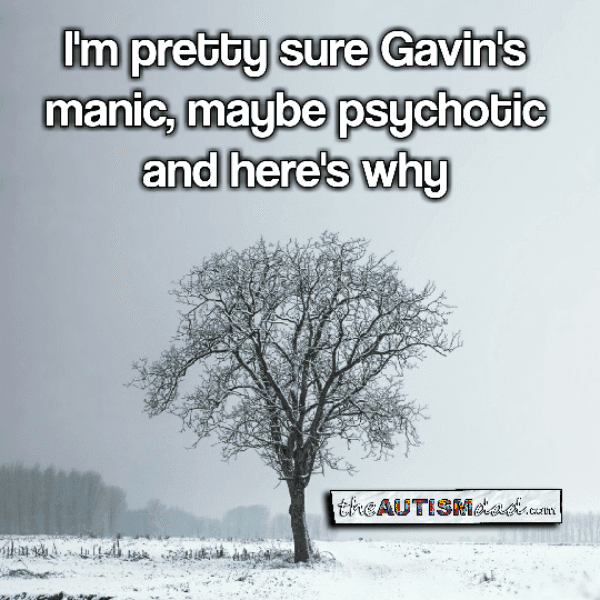 I'm pretty sure Gavin's manic, maybe psychotic and here's why