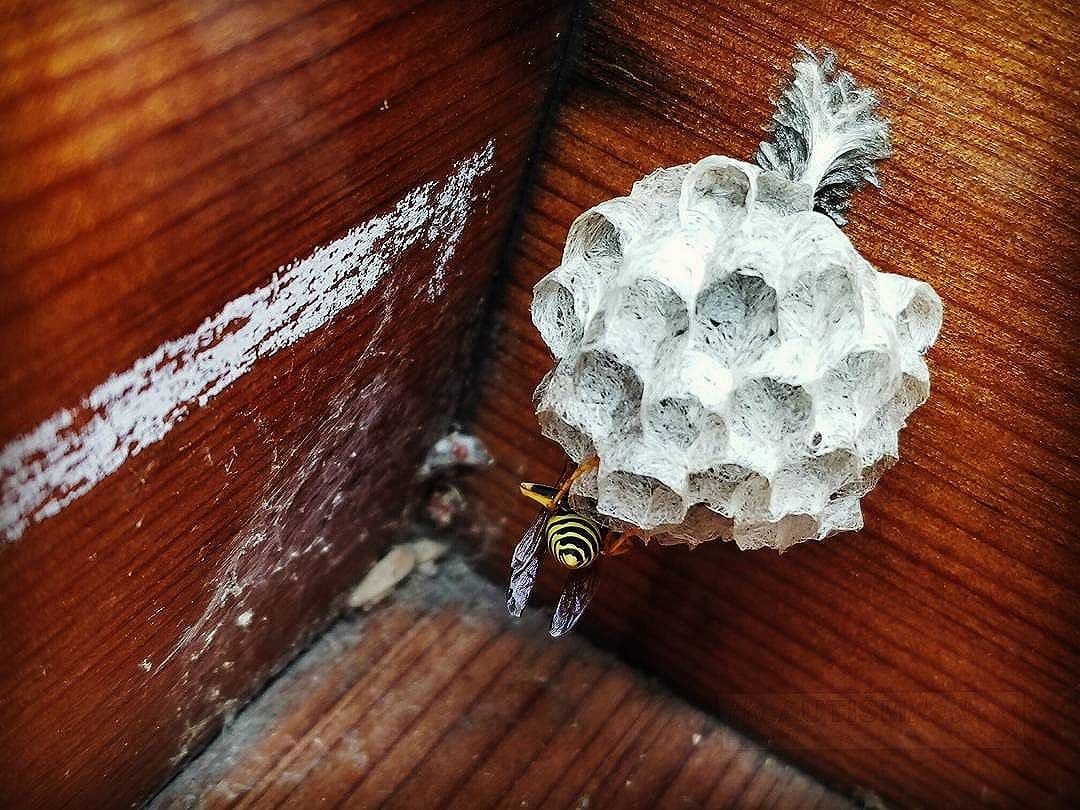 Imagine finding this in your mailbox in the morning