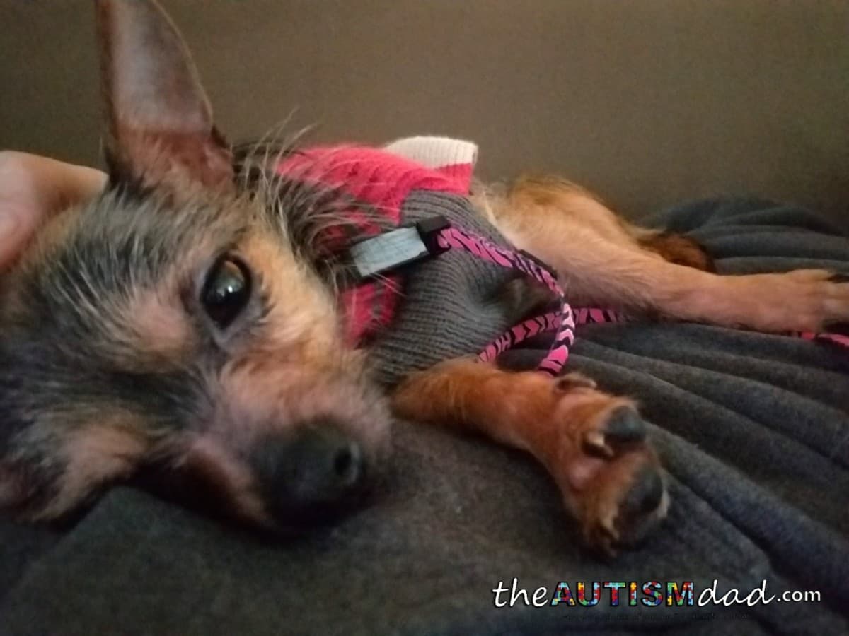 Introducing the newest member to our family