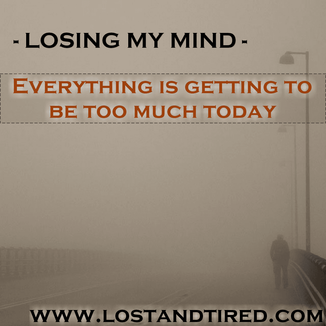 LOSING MY MIND - Everything is getting to be too much today