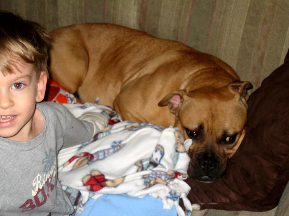 Maggie passed away last night and we're all heartbroken