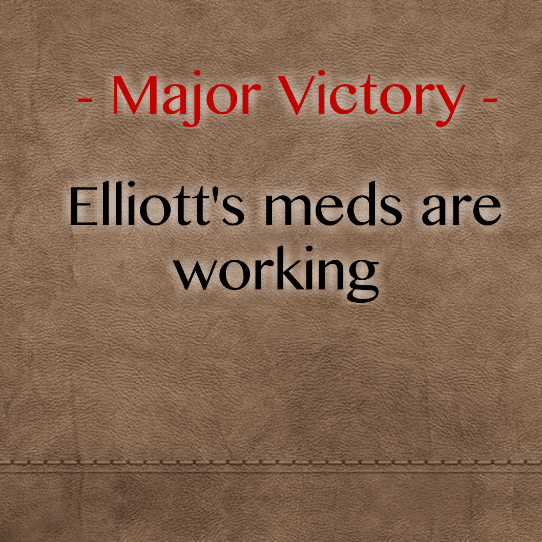 Major Victory - Elliott's meds are working :-)