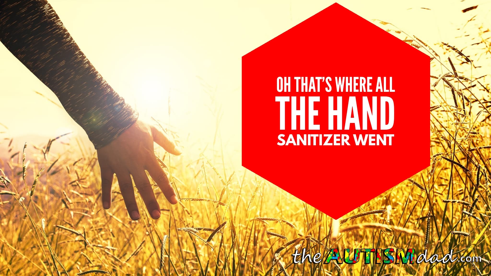 Oh that's where all the hand sanitizer went