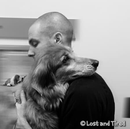 @PetSmart and @Banfield respond to my post