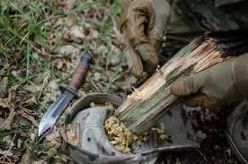 Preparing Your Family For Survival