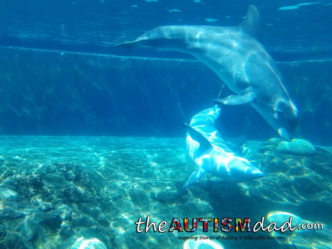 Sea World: Day 6 @GKTWVillage