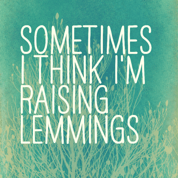Sometimes I think I'm raising lemmings
