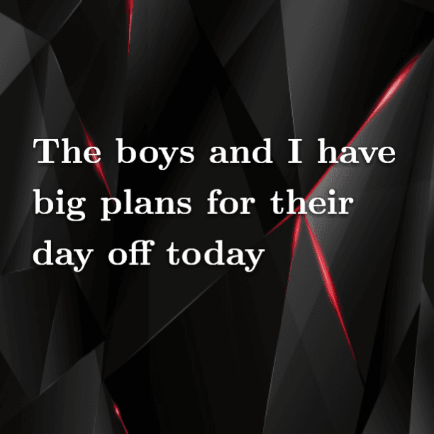 The boys and I have big plans for their day off today