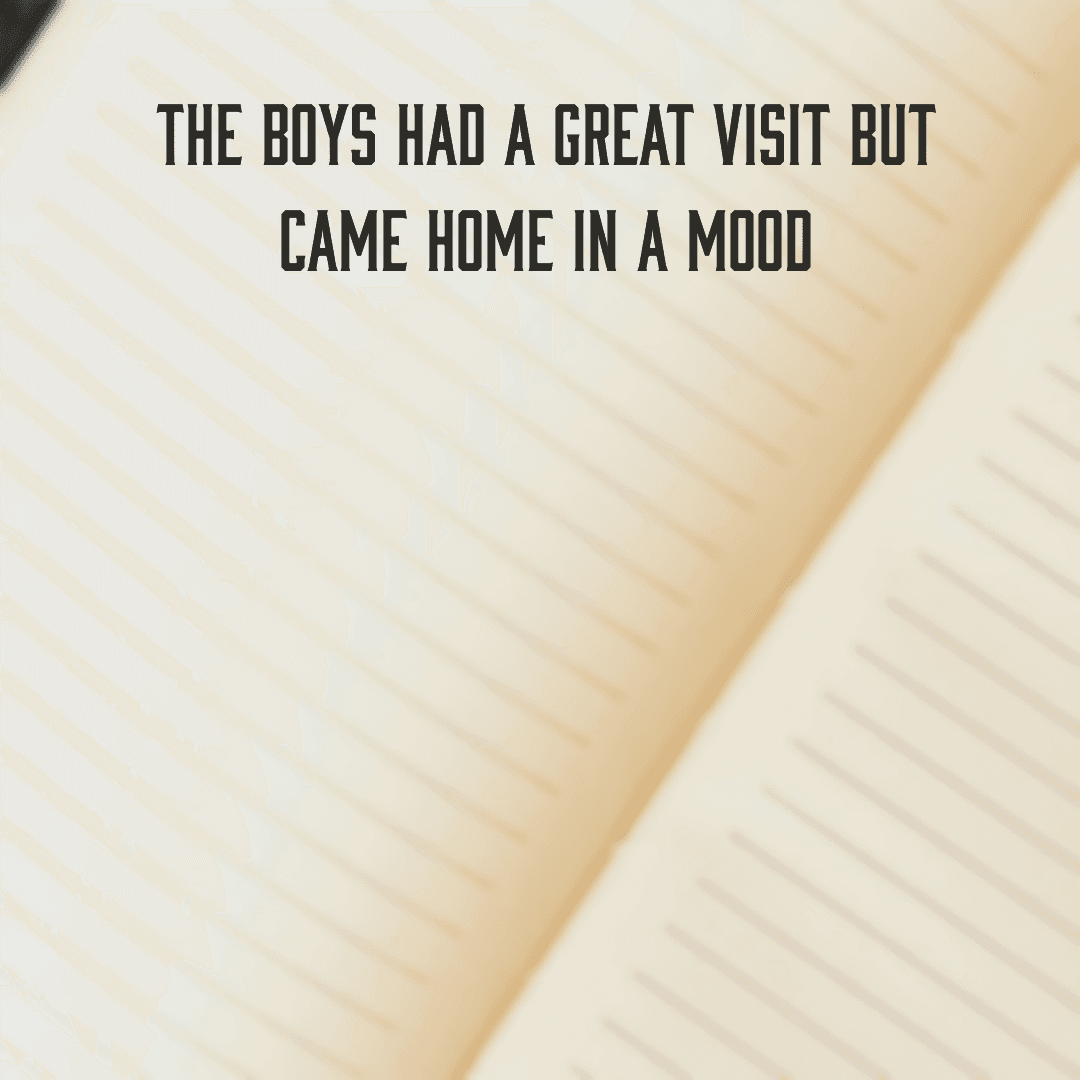 The boys had a great visit but came home in a mood