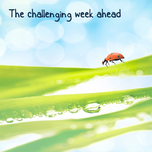 The challenging week ahead