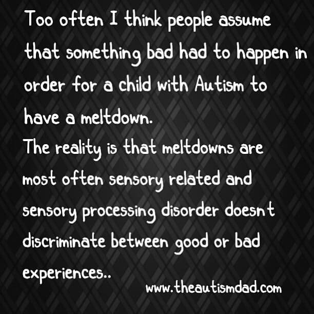 The Did You Know's of Autism: The Misconceptions Surrounding Overstimulation and Meltdowns