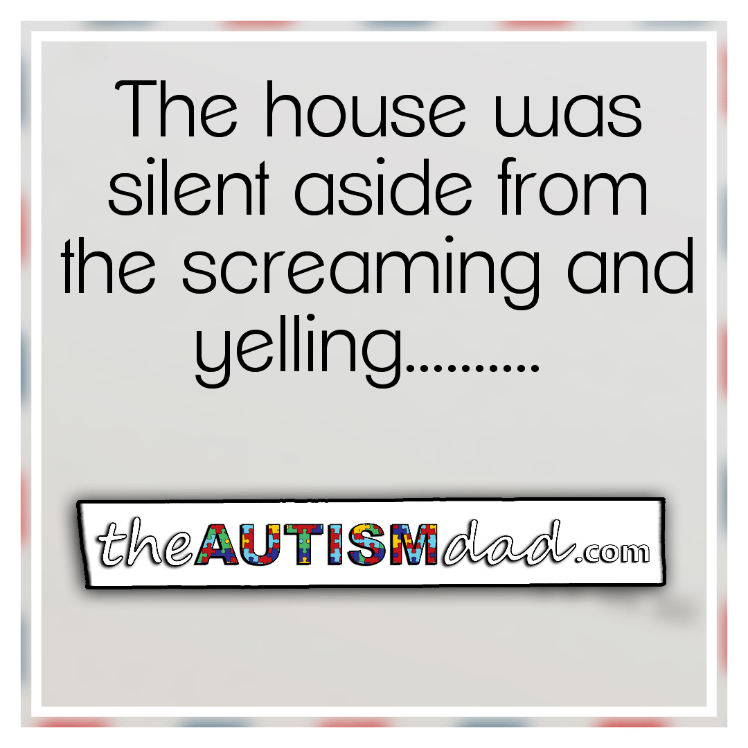 The house was silent aside from the screaming and yelling..........