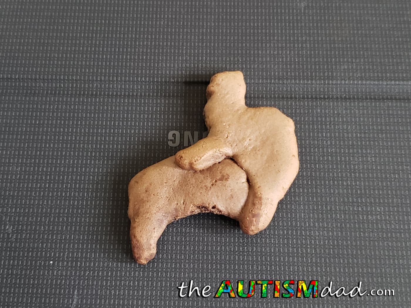 This unfortunate animal cracker led to a very awkward conversation with my youngest