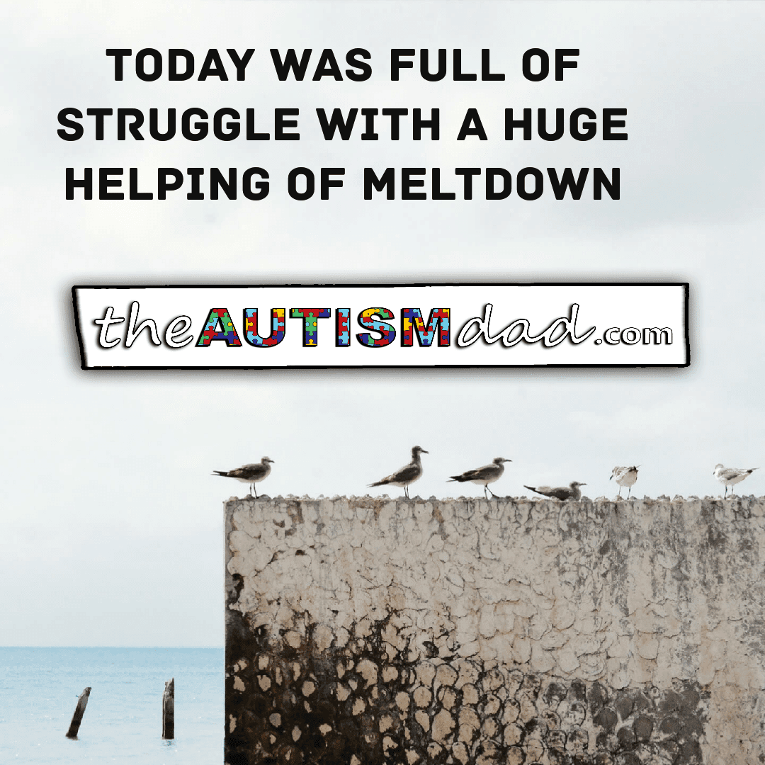 Today was full of struggle with a huge helping of meltdown