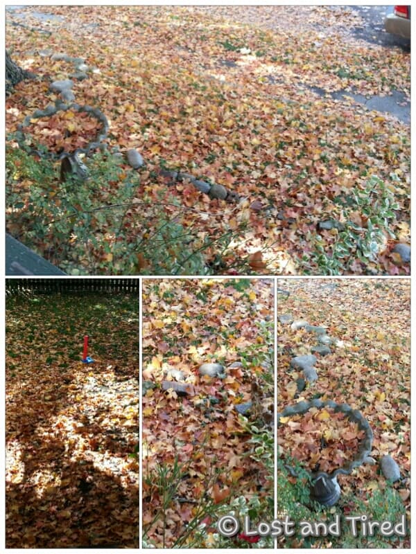 Tree Vomit