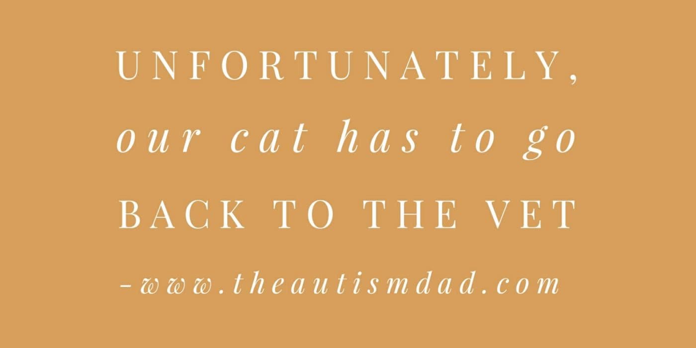 Unfortunately, our cat has to go back to the vet