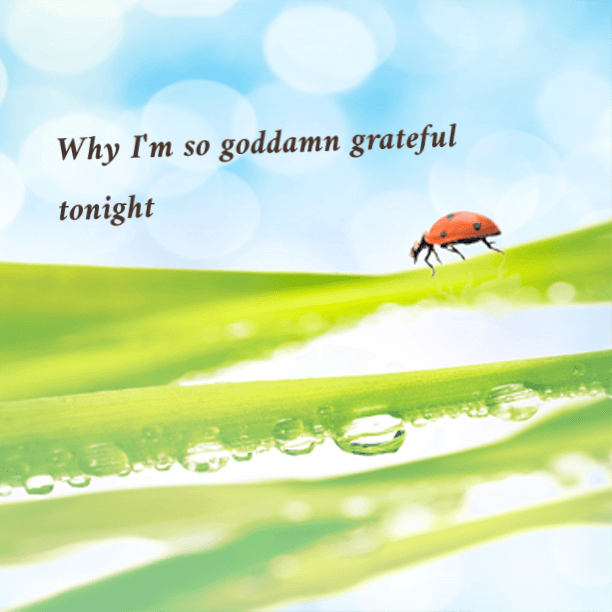 Want to know why I'm so goddamn grateful tonight?