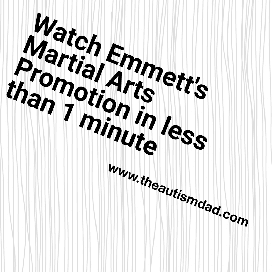 Watch Emmett's Martial Arts Promotion in less than 1 minute