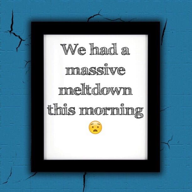 We had a massive meltdown this morning