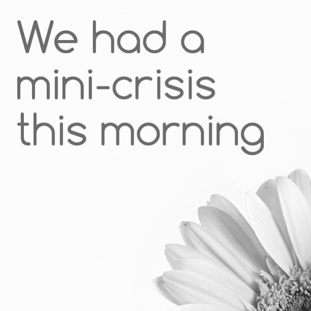 We had a mini-crisis this morning