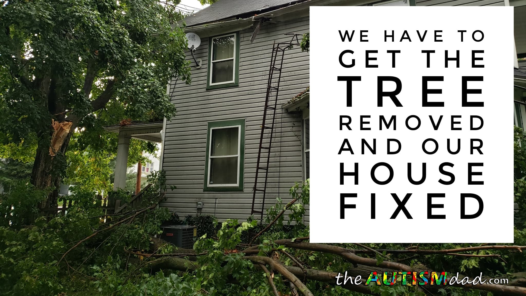 We have to get the tree removed and our house fixed