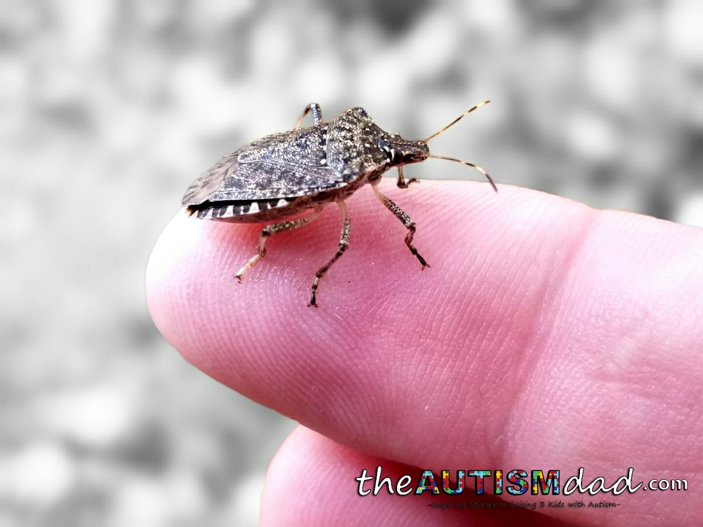 We picked up a hitch hiker on our trip