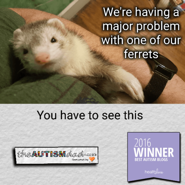 We're having a major problem with one of our ferrets