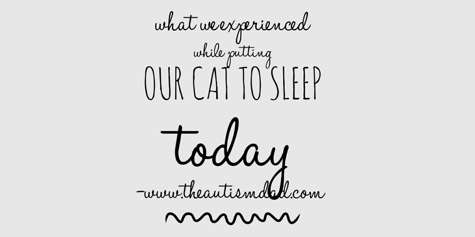 What we experienced while putting our cat to sleep today