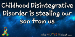 Childhood Disintegrative Disorder is stealing our son from us